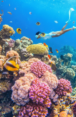 Special Fujairah tour package